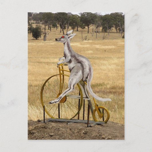 Carte Postale Kangaro Sur Roues (Devant)