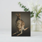 Carte Postale Kangaroo (Debout devant)