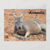 Carte Postale Kangaroo confiance après-traversée (Devant)