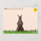 Carte Postale Kangaroo confiance après-traversée (Dos)