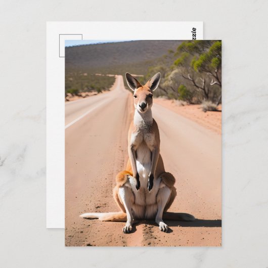 Carte Postale Kangaroo dans l'arrière-plan (Devant / Derrière)