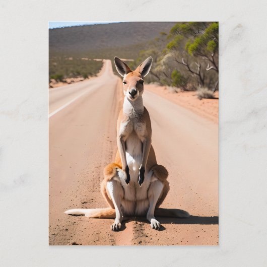 Carte Postale Kangaroo dans l'arrière-plan (Devant)