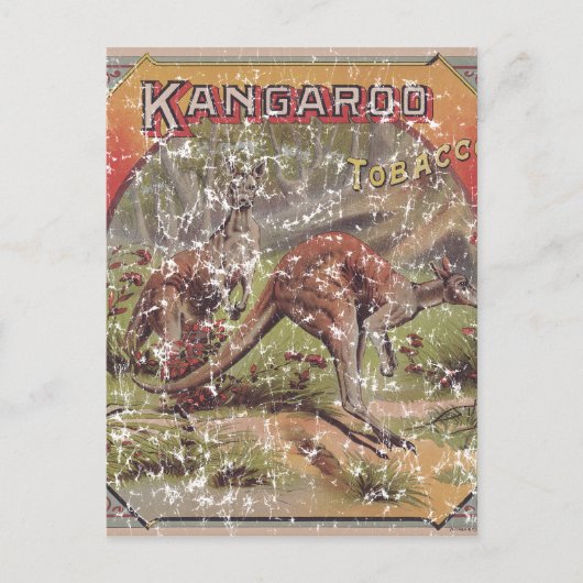Carte Postale Kangaroo Tobacco 1900 (Devant)