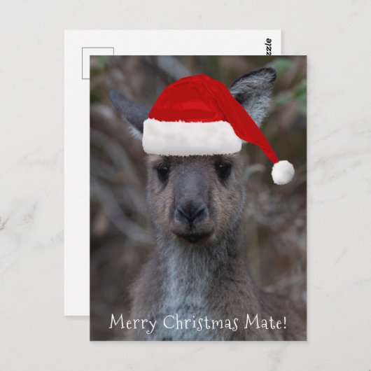 Carte Postale Kangaroo Visage Père Noël Joyeux Noël Mate (Devant / Derrière)