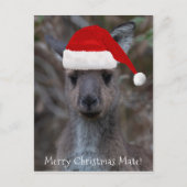 Carte Postale Kangaroo Visage Père Noël Joyeux Noël Mate (Devant)
