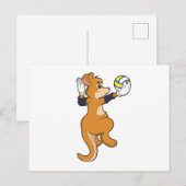 Carte Postale Kangourou au sport de volley-ball (Devant / Derrière)