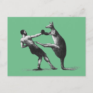 Carte Postale Kangourou de boxe vintage