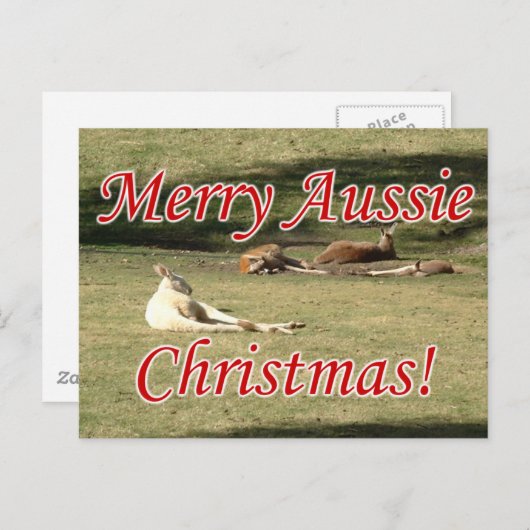 Carte Postale Kangourous (Devant / Derrière)