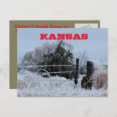 Carte postale Kansas Icy Fence (Devant / Derrière)
