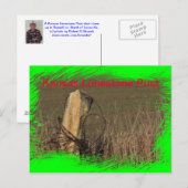 Carte Postale Kansas Limestone Post photo de closeuse sur une CA (Devant / Derrière)