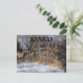 Carte postale Kansas Old Wooden Fence (Debout devant)