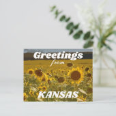 Carte Postale Kansas Sunflower Salutations (Debout devant)