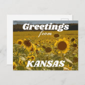 Carte Postale Kansas Sunflower Salutations (Devant / Derrière)
