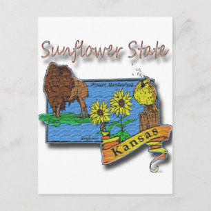 Carte Postale Kansas Sunflower State Lark Sunflower Buffalo