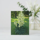 Carte Postale Kansas Yucca (Debout devant)