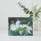 Carte Postale Kao Kao 5 (Debout devant)