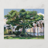 Carte postale Kapok Tree (Devant)