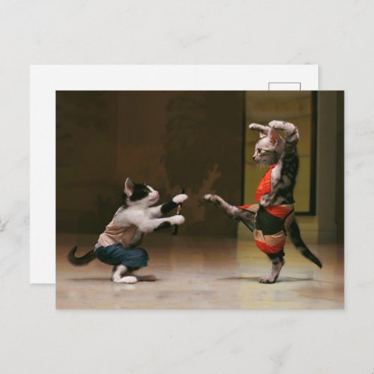 Carte Postale Karaté (Devant / Derrière)