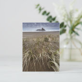 Carte Postale Karekare Beach | Panatahi Island, West Coast (Debout devant)