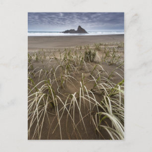 Carte Postale Karekare Beach   Panatahi Island, West Coast
