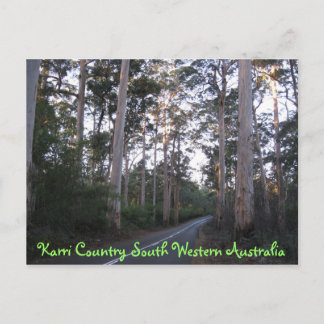 CARTE POSTALE - Karri Country South Western Austra