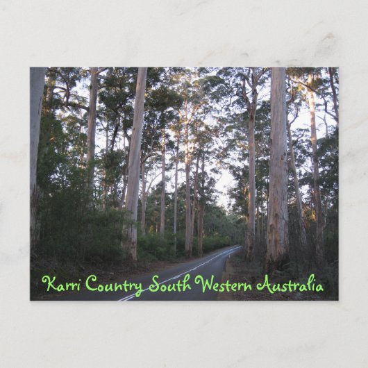 CARTE POSTALE - Karri Country South Western Austra (Devant)