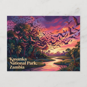 Carte Postale Kasanka National Park Zambie