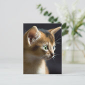 Carte Postale kat (Debout devant)