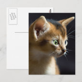 Carte Postale kat (Devant / Derrière)