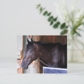 Carte Postale Kathy Ritvo Stables (Debout devant)