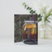 Carte Postale Kathy's Kosmic Kowgirl Tea (Debout devant)