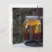 Carte Postale Kathy's Kosmic Kowgirl Tea (Devant / Derrière)