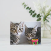 Carte Postale Katie et Carl (Debout devant)