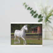 Carte Postale Katie Running (Debout devant)