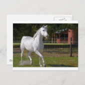 Carte Postale Katie Running (Devant / Derrière)