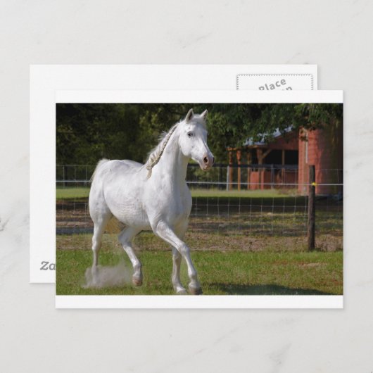 Carte Postale Katie Running (Devant / Derrière)