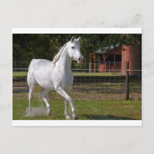 Carte Postale Katie Running (Devant)