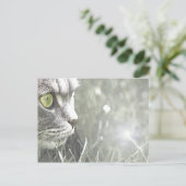 Carte Postale Katz (Debout devant)