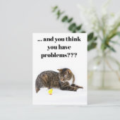 Carte postale Katze schaut "Küken" un Humour schwa (Debout devant)