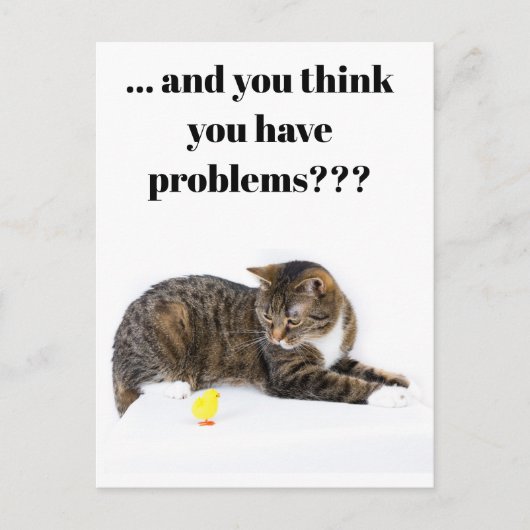 Carte postale Katze schaut "Küken" un Humour schwa (Devant)