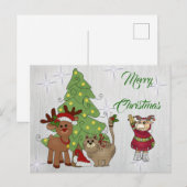 Carte Postale Katzenweihnachten (Devant / Derrière)