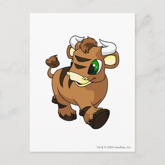 Carte Postale Kau Brown (Devant)