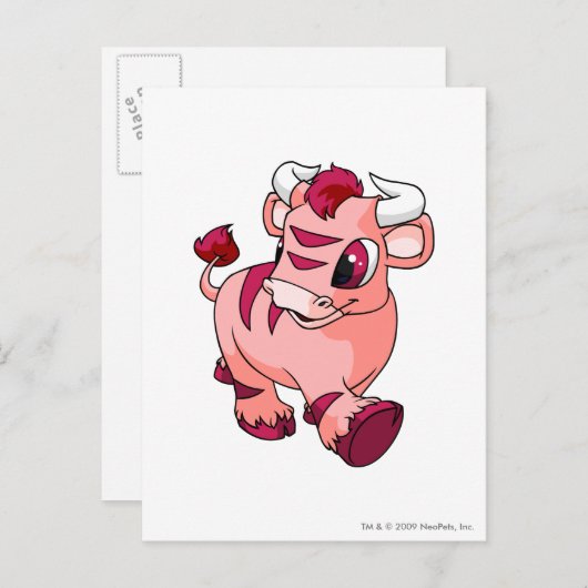 Carte Postale Kau rose (Devant / Derrière)