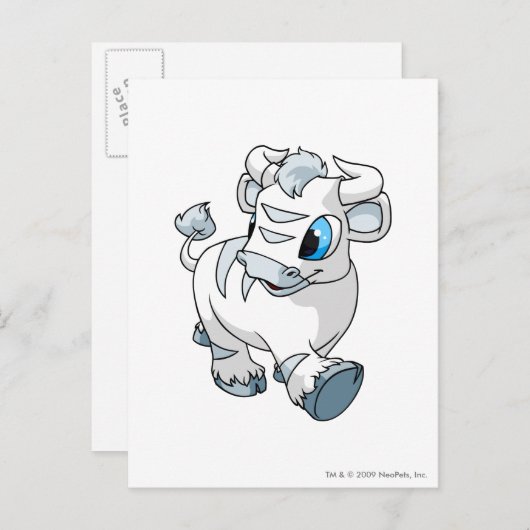 Carte Postale Kau White (Devant / Derrière)