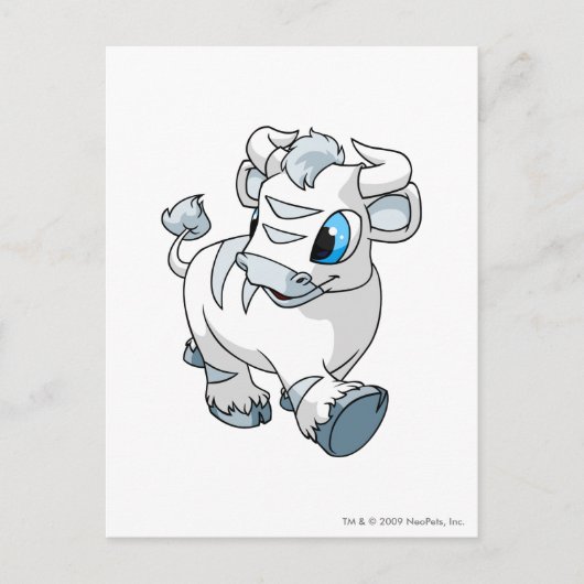 Carte Postale Kau White (Devant)