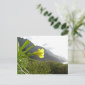 Carte postale Kauai (Debout devant)