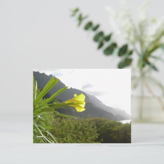 Carte postale Kauai (Debout devant)