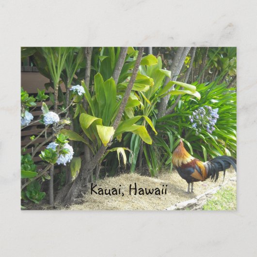 Carte Postale Kauai, Hawaï (Devant)