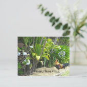 Carte Postale Kauai, Hawaii (Debout devant)