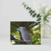Carte Postale Kauai Hawaii Bird dans un arbre (Debout devant)